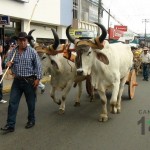 Desfile de Boyeros, San Isidro Labrador 2014