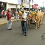 Desfile de Boyeros, San Isidro Labrador 2014