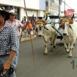 Desfile de Boyeros, San Isidro Labrador 2014