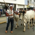 Desfile de Boyeros, San Isidro Labrador 2014