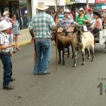 Desfile de Boyeros, San Isidro Labrador 2014