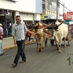 Desfile de Boyeros, San Isidro Labrador 2014