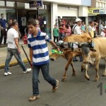 Desfile de Boyeros, San Isidro Labrador 2014