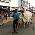 Desfile de Boyeros, San Isidro Labrador 2014