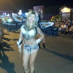 Desfile Luces del Valle 2014