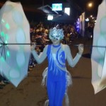 Desfile Luces del Valle 2014