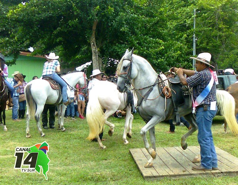 Amantes de las cabalgatas tienen una cita en Rey Curré