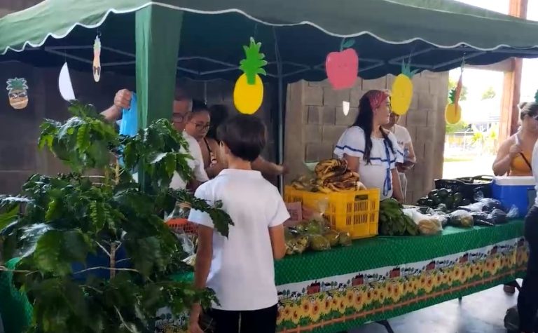 Con chinamos y presentaciones artísticas celebraron a los agricultores en la Escuela 12 de Marzo