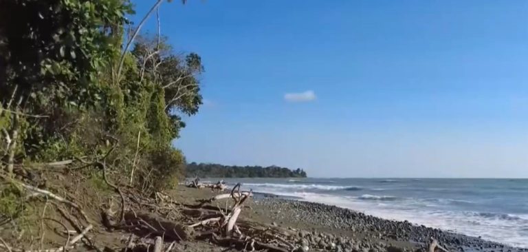 Harán segunda mega limpieza en la playa del Parque Nacional Corcovado