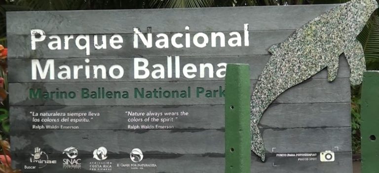 Refuerzan seguridad en el Parque Nacional Marino Ballena